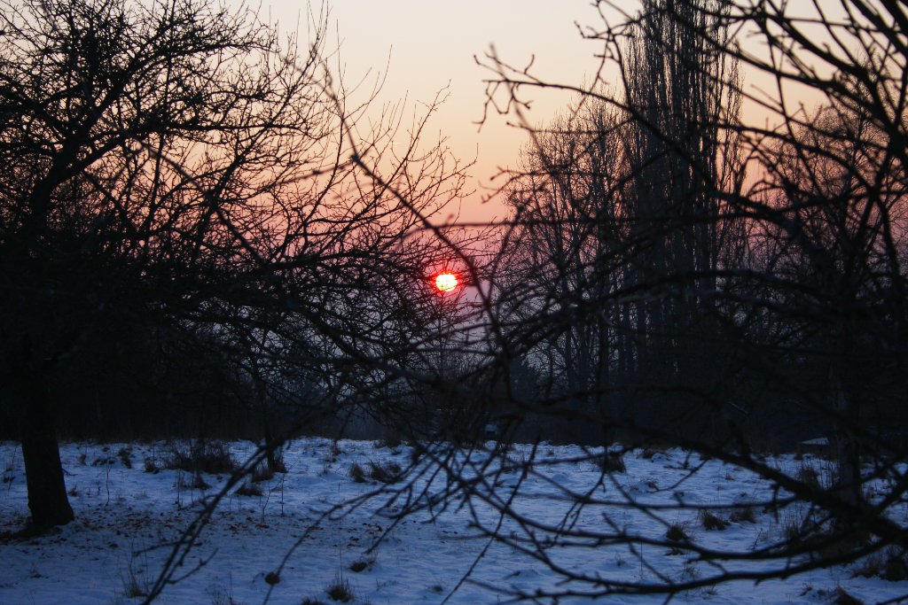 Sonnenuntergang 11.01.2009 07.jpg